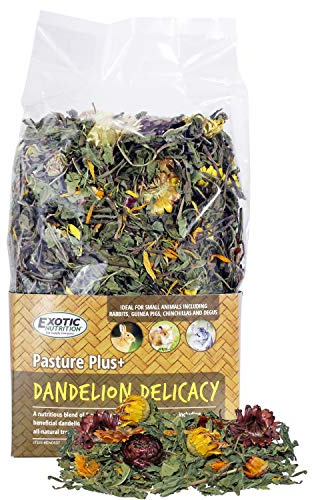 Exotic Nutrition Pasture Plus+ Dandelion Delicacy - Healthy Natural High-Fiber Dried Flower Treat - Guinea Pigs, Rabbits, Chinchillas, Prairie Dogs, Degus, Hamsters, Gerbils & Other Small Pets