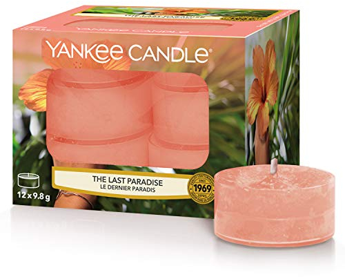 Yankee Candle Teelichter The Last Paradise 12 Stk.