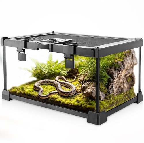 NEPTONION Mini Reptile Glass Terrarium Vivarium 12'' x 8'' x 6'' Full View Tank Small Amphibians Glass Habitat Cage with Feeding Slot & Box Lock Buckle