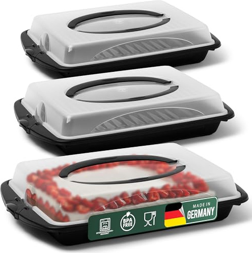 Novaliv Set di 3 scatole per il trasporto di torte (rettangolari, 45 x 30 x 9 cm), con coperchio, contenitore per il trasporto di torte, dolci, muffin