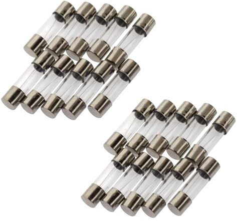 20 Stücke Feinsicherung 10A, 5x20mm, Träge Packung Glassicherung 250V