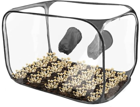 Mushroom Growing Still Air Box, Faltbares Pop-Up Transparent Pilze Züchten Set, Geeignet Für Gartenbedarf, Pilzpflanzgefäße (B)