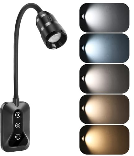 HUAEU Collegare Lampada da lettura a parete, luce da lettura per la lettura notturna, luce da lettura per libri a letto, 5 colori e luminosità dimmerabili, uscita tipo C, collo d'oca flessibile