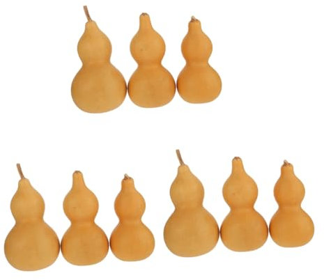 RORPOIR 9pièces Décorations Naturelles Courge Ornements Feng Shui pour Maison Et Bureau Décoratifs Gourd