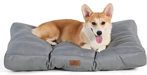 BEDSURE Hundekissen kleine Hunde waschbar - 76x50cm Hundebett wasserdicht M für kleine, mittelgroße Hunde gepolstert Hundematte grau in 10cm Höhe