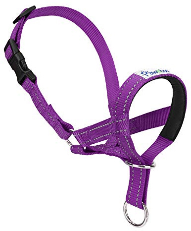 Pawaboo Hundehalfter Haustier Sicher Kontrolle - Nylon Reflektierende Einstellbare Hundehalter Hundeband Training Halter für Hunde, Wepeln, M Größe, Lila