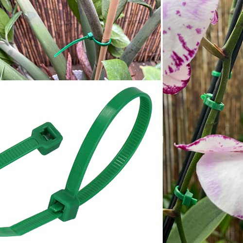 GARDENIX Lot de 100 serre-câbles réutilisables et réglables 4,8 mm x 160 mm Vert