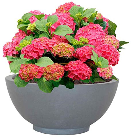 IDEALIST 18 Inch Large Garden Bowl Planter | Grey Reinforced Stone Succulent Plant Pot | Bonsai Pot with Drainage Holes D45 H20 cm, with Inner Top D41 cm, 25 litres