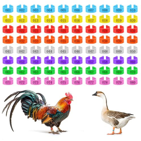 80 Stück Hühnerringe, Hähnchenschenkelbänder mit Zahl 16mm 8 Farben Geflügelschenkelringe Geflügel Band Taubenringe, Identifikation Beinbänder, zur Markierung von Kleinen Geflügelfüßen