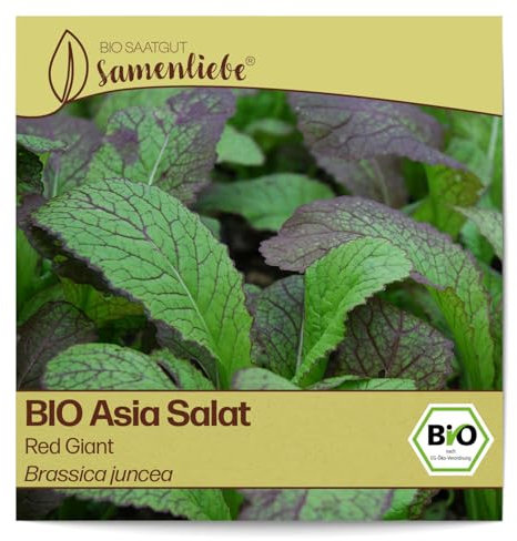 Samenliebe BIO Asia Salat Samen Red Giant senfscharfer Blattsenf großer Wintersalat rot grün 1,1g samenfestes Gemüse Saatgut für Gewächshaus Freiland und Balkon BIO Gemüsesamen winterhart
