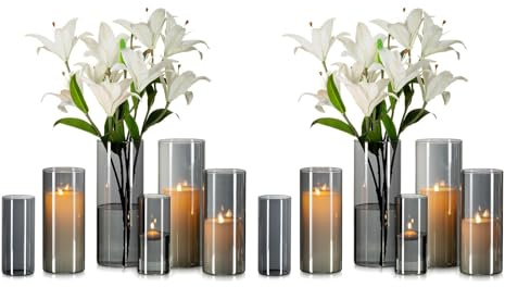 Glasseam Grå stor glasvas: 12 st moderna cylindervaser för blommor vardagsrum bordsdekorationer - orkanvaser för dekoration rosor tulpaner Pampas dekorativa ljushållare (15/20/25 cm)