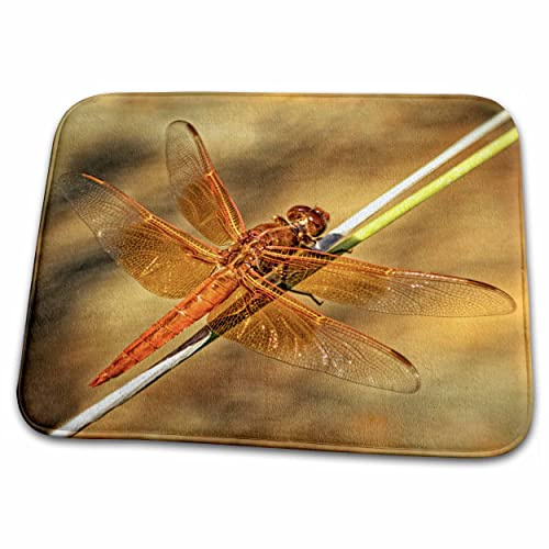 Dish Drying Mat - Red Dragonfly on Reed Photography Insect