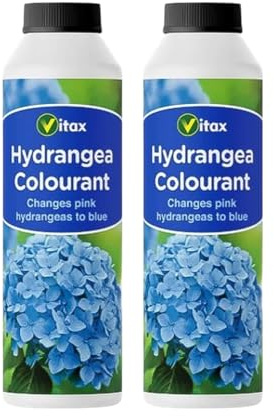 Vitax Hydrangea Colourant – Transform Pink Hydrangeas to Blue, Ideal for Acid Soil, Easy-to-Use for Indoor & Outdoor Plants, 2 Pack (250g)