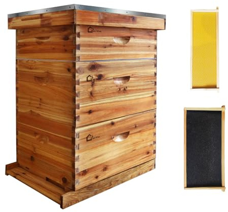 Garvee Kit de démarrage apiculture Langstroth 10 cadres – 2 hausses profondes, 1 moyenne – Cadres et fondations en cèdre enduits de cire d’abeille – Pour apiculteurs débutants et pros – Ruche