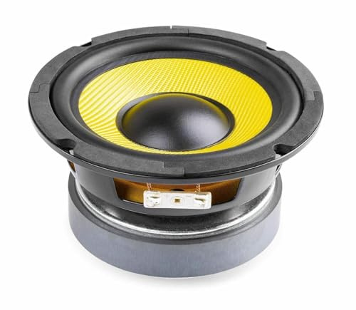 FENTON WK14 Altavoz Woofer de 13 cm, con Cono Kevlar, 200W MAX, 100W RMS, Impedancia 8 Ohmios, Recambio Altavoz Coche, Repuesto Woofer para Altavoz Hi-Fi