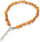 Bernsteinhalsband Bernsteinkette mit Kette für Hunde + Katzen 51-55 cm