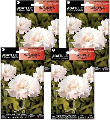 Semillas de clavel chabaud blanco doble Semillas Batlle PACK (4)