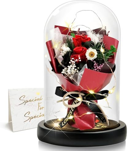DINGHENG Geschenk für Frauen, Ewige Rose im Glas mit LED, Rote Rose Blumenstrauß, Dekoration für Zuhause, Langlebige Echte Blumen für Mama, Freundin, Ehefrau, Oma (Rot)