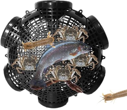 Eventerde 6 Agujeros Trampa de Trampa de con Agujeros de Pescado Jaula de Captura de Pescado PP Portátil para Atrapar Cangrejos Arenques Camarones Peces Pequeños