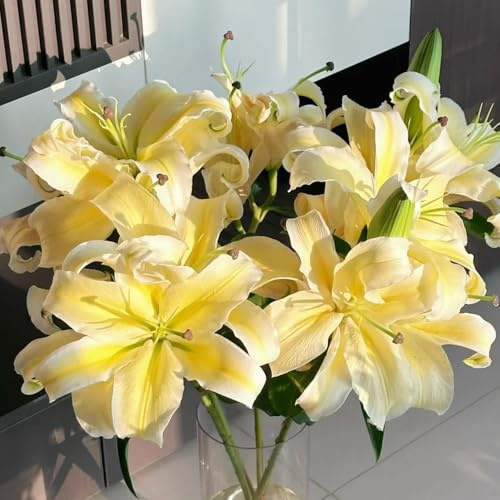 Bulbos de lirio resistentes - interior purificadoras aire, tempranas, silvestres jardín, 7pcs