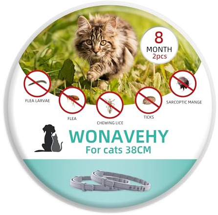 2 Colliers antiparasitaires pour Chats de Plus de 8 kg, élimine Les puces, Les tiques, Les poux et protège du Risque de Transmission, jusqu'à 8 Mois, Taille 38cm