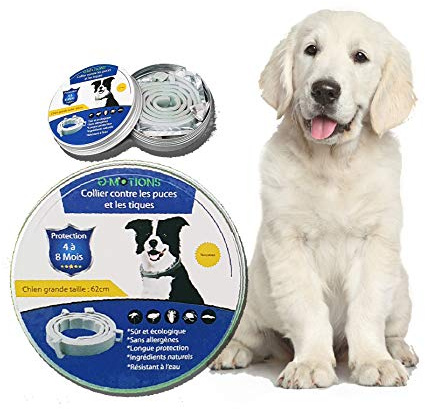 PARENCE - Collier Naturel Antipuces Anti-Tiques - Chiens/Chats