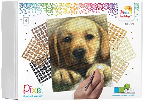 Pixel P090045 Mosaik Geschenkverpackung Hund, Pixelbild ca. 20,3 x 25,4 cm groß, kinderleichtes Stecksystem, ohne Bügeln und Kleben, Steinchen aus Biokunststoff, ideal für Kinder