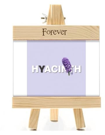 Hyacint blommor lila bra bildram trä bordsskiva display 4 x 6