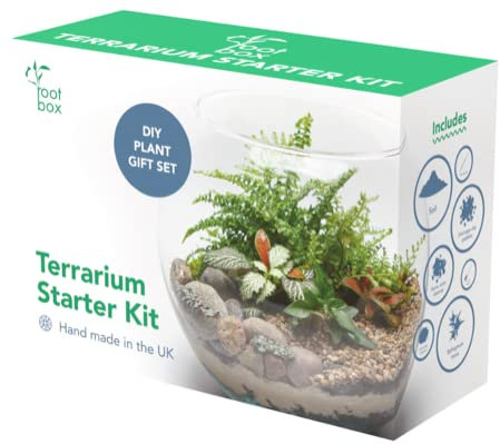 Root box™ Large Plant Terrarium Kit in scented giftbox | Succulents, Bonsai, Fittonia, Cactus | Unique DIY GIFT for Summer Anniversaries Birthdays Employees (CLEARANCE)
