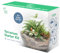 Root box™ Large Plant Terrarium Kit in scented giftbox | Succulents, Bonsai, Fittonia, Cactus | Unique DIY GIFT for Summer Anniversaries Birthdays Employees (CLEARANCE)