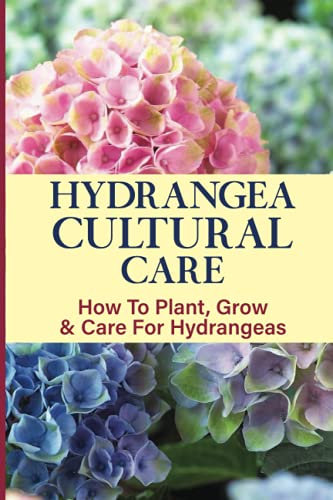 Hydrangea Cultural Care: How To Plant, Grow & Care For Hydrangeas: How Do You Keep Hydrangeas Blooming