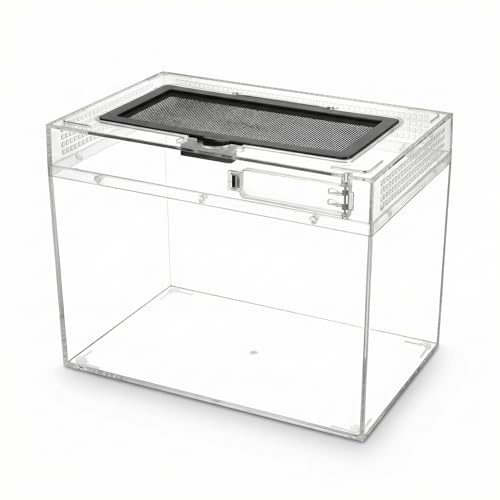 QWORK® Reptil matningslåda, 30 x 18 x 22 cm för en mängd olika reptiler och insekter