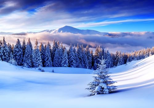 Papier Peint Panoramique 3D Montagne Neige Forêt Bleu Naturel 400x280cm