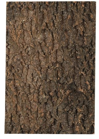 Corteccia Di Sughero - 40x30x1cm 600g (1 Pezzo) Decorazione Da Parete Per Arrampicata Resistente All'Acqua | Paesaggistica Naturale 'habitat Dei Rettili, Decorazione Del Serbatoio Della Tartaruga