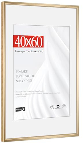HIMEETIME® 1x Cornice per foto,40x60 cm,Alluminio spazzolato Metallo dorata champagne,Passepartout 30x40cm,Cornice 40x60cm Grande per Foto Disegni,Solo per Espositore a Parete