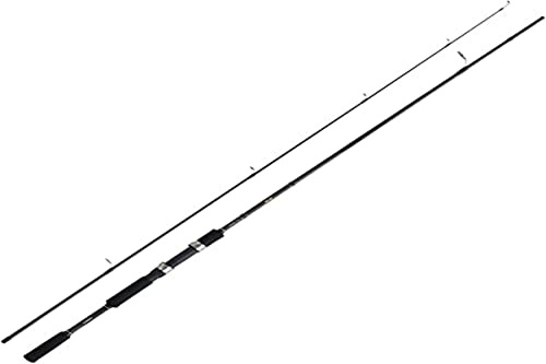 SHIMANO FX XT 210M 10-30 g
