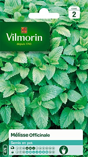 Vilmorin 5877046 Mélisse officinale Vert 9 x 0,5 x 16 cm
