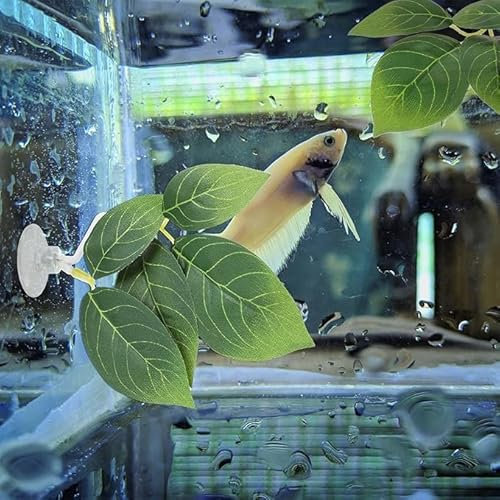 NYGGTYK 4 Morceaux De Plantes Aquatiques en Plastique Simulées, des Fournitures D'Aménagement Paysager des Poissons De Poisson Et des Décorations De Convivialité.