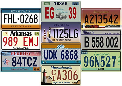 - Lot von 10 US-Metallkennzeichen – Nachbildungen echter amerikanischer Kennzeichen – V2