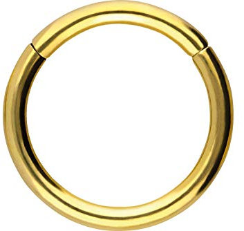 PIERCINGLINE Segmentring Clicker Titan Piercing Nase Septum Ohr Helix Lobe Tragus Goldfarben 0,8 x 7 mm