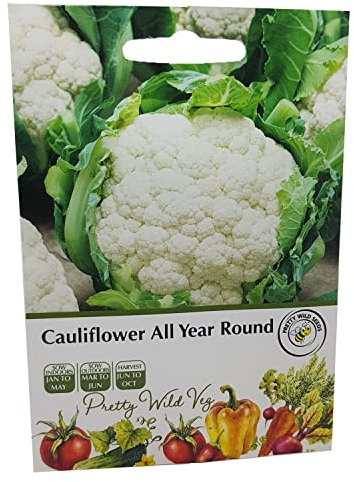 Vegetable Fruit Seeds Veg Seeds Cabbage Carrot Sweetcorn Tomato Strawberry (Cauliflower All Year Round)