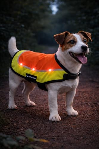 Chaleco de Seguridad con luz LED Simi Naranja Fluo S 30cm