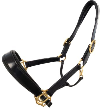 Coco Equestrian Black Adjustable Premium Leather Padded Headcollar Halter - Cob