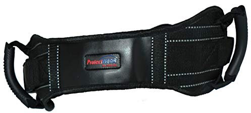 Protectwear Motorrad-Sozius-Haltegurt/Beifahrer-Haltegurt SHG