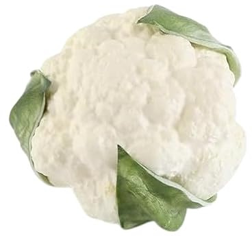 Nvzi Juego de verduras artificiales realistas de espuma decorativas realistas para el hogar, cocina, juego de decoración para fotos (coliflor, 2 piezas)