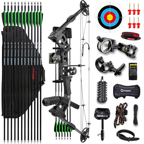 Bogenschießen Compound Bogen Kit für Erwachsene Anfänger RH/LH 20-70LB Draw Weight Einstellbar Jagdbogen 24-30 IBO 320 FPS (Schwarz, Rechte Hand)