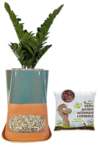 Moutta｜Transfarmers Pot de Fleurs et lombricomposteur Turquoise en Terre-Cuite 17L｜Pack avec 250gr de vers de Compost