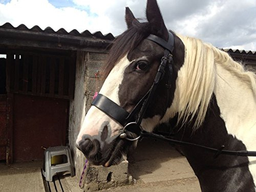 Equipride Working Hunter Bridle 2 Wide Noseband with Rubber Grip Reins (Black, Cob)
