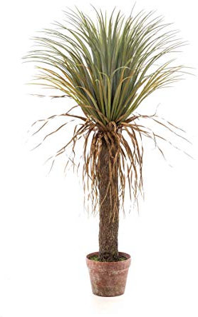 artplants.de Konstpalm Yucca Formosa, 110 cm