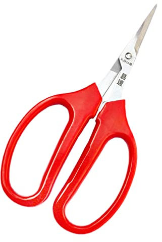 Abaodam 2 Piezas Tijeras De Frutas y Verduras Suministros De Jardinería Podadoras De Jardín Tenedor De Jardín Herramienta De Flores Herramientas Acero Inoxidable